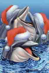 christmasdolphins.jpg